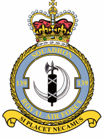 squadron 139