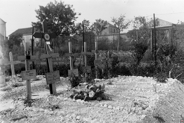 18892.jpg