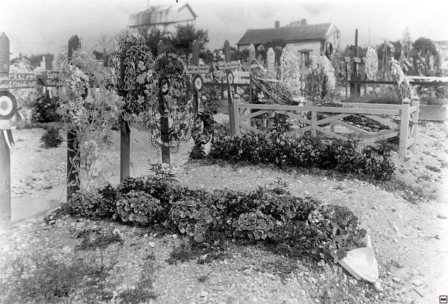18989.jpg