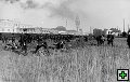 thn_DSC_3167.jpg